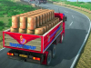 Indian Truck Driver Cargo Duty Delivery